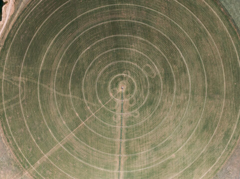 Aerial view of circular crops with irrigation circles visible. Bridger, Montana