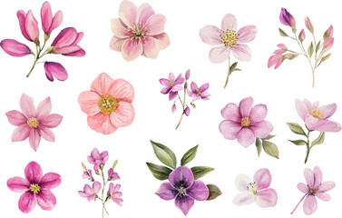 seamless pattern with pink flowers