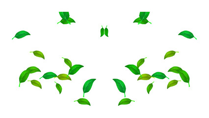 Green Leaves Floating on Black Background Natural Organic Pattern