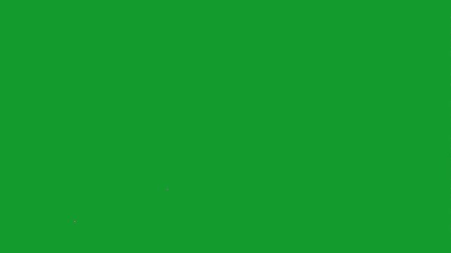 VHS-style defects and glitch video effects, featuring line noise and flickering overlays on a green screen background