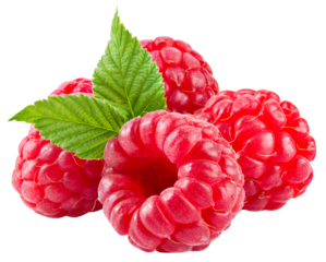 Raspberry isolated png. Raspberries with leaves on transparent background. Whole four raspberries no background. Transparent png. Full depth of field.