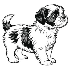 Shih Tzu Puppy Cartoon Illustration, Black and White Cute Fluffy Dog, Furry Pet Outline