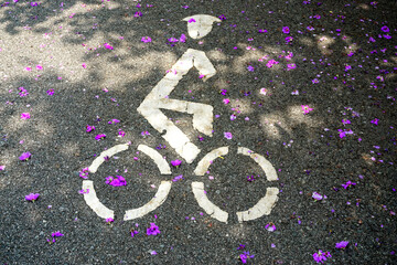 Bicycle lane sign on ground with light through the shade of trees and fallen flower
