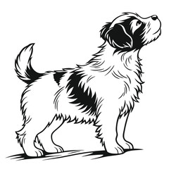 Standing Jack Russell Terrier, Black and White Illustration, Isolated Dog Looking Upward