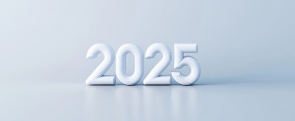 Year 2025 numbers