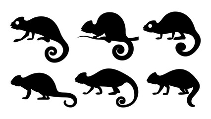 set of chameleon silhouette vector on tranparent background