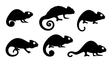 set of chameleon silhouette vector on tranparent background