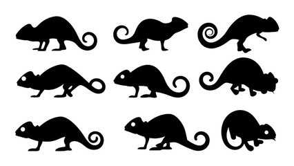 set of chameleon silhouette vector on tranparent background