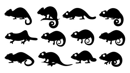 set of chameleon silhouette vector on tranparent background