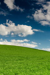 Green grass on hill and blue sky