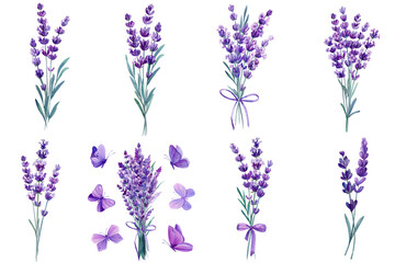 Fototapeta premium Watercolor lavender bouquet with flying purple butterflies isolated on white for floral design and decor, purple clipart