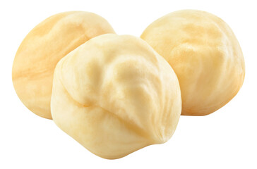 Hazelnut isolated png. Peeled hazelnut on white or transparent background. Perfect retouched three forest filbert nut no background. Transparent png. Full depth of field.