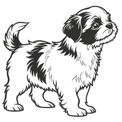 Isolated Standing Shih Tzu Puppy Outline with Fluffy Tail and Detailed Fur Black and White