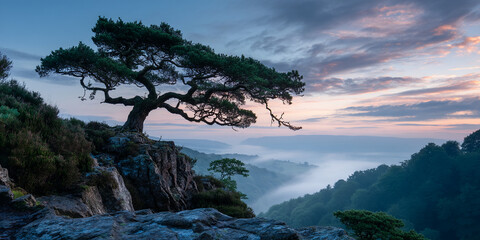 Obraz premium Lone tree on rocky cliff overlooking misty valley at sunrise, showcasing serenity and nature's majesty, ideal for peaceful or travel themes