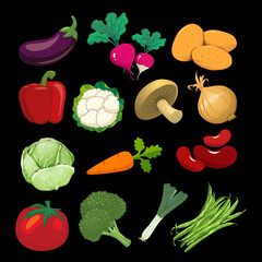 Vegetable-themed stickers, some local and some foreign vegetables