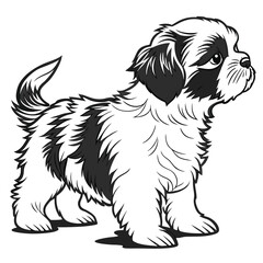 Line Art Shih Tzu Puppy Standing Profile with Fluffy Black and White Coat Design