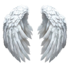 white angel wings isolated on white background