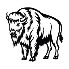 Bison Illustration, Black and White Buffalo Clipart, Wild Animal Image, Mascot Design