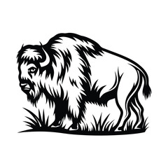 Silhouette Buffalo Standing on Grass | Black and White American Bison