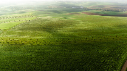 aerial drone view of rolling hills in moravia, czech republic