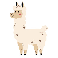 Flat vector illustration in a simple children's style. Cute llama on white background. Farm animals . Vector illustration