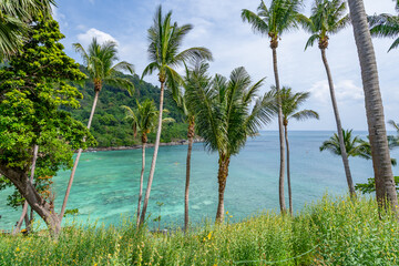 Obraz premium Beautiful beach background, Natural landscape with coconut palm trees on the beach at Phuket Thailand,Beach and sea in sunny day, Beach sea space area nature background