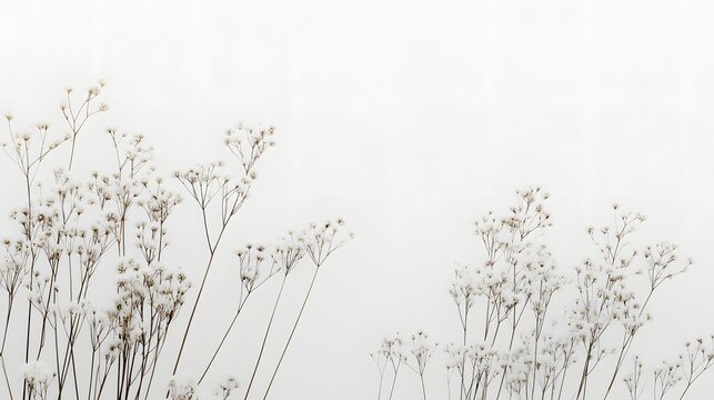 39. A collection of minimalist wildflowers with thin stems and soft, muted colors, arranged loosely on a white background to evoke a sense of natural simplicity