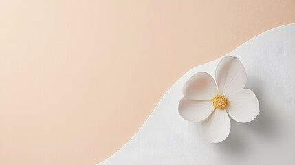 9. A minimalist flower with a simple, smooth shape and soft pastel petals, placed in the lower corner of the frame to create a sense of balance and negative space