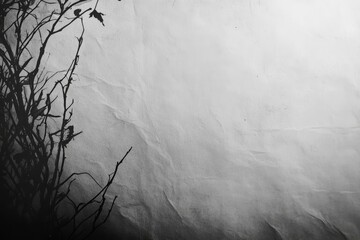 Silhouetted branches against a textured grayscale backdrop.