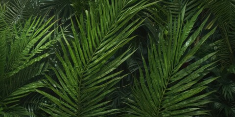 Intricate palm frond texture, vibrant green hues,  wallpaper,  tropical plant