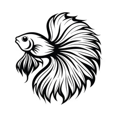 Betta Fish Line Art, Monochrome, Flowing Fins, Elegant Design, Isolated on White