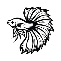 Siamese Fighting Fish Silhouette, Black and White, Elegant Flowing Fins, Aquatic Animal