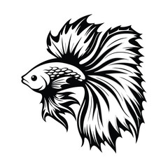 Monochrome Betta Fish Elegant Silhouette with Flowing Fins, Isolated Design