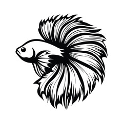 Betta Fish Silhouette Isolated, Siamese Fighting Fish, Elegant, Black and White