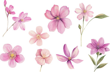pink flowers background
