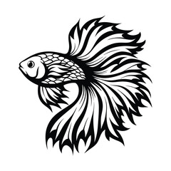 Elegant Black and White Betta Fish with Flowing Fin Designs Artistically Rendered