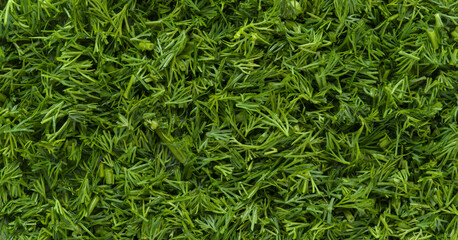 Chopped dill background, top view