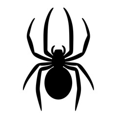 Black spider vector illustration
