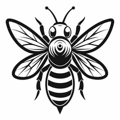 Striking Black and White Honey Bee with Intricate Wing and Body Details