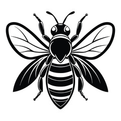 Black and White Honey Bee with Striped Body and Detailed Wings isolated