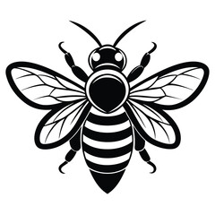 Detailed Monochrome of a Bee with Stripes, Wings and Antennae Facing Front