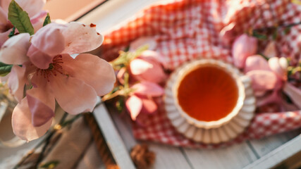 Close-up of pink magnolia flowers with a blurred background of a vintage teacup and gingham fabric, capturing soft morning light and a cozy, floral atmosphere