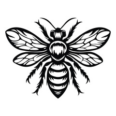 Intricate Black and White Bee Design Isolated on White Background Detailed Wings