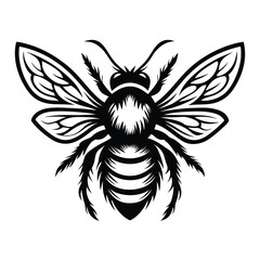 Striking Black and White Honey Bee Illustration, Detailed Wings, Insect Icon, Design Art