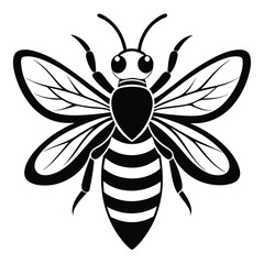 Isolated Black and White Honey Bee Winged Insect Design, Bug Icon
