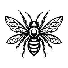 Striking Black and White Honeybee Illustration, Detailed Wings, Intricate Body Design