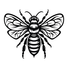 Detailed Silhouette of a Bee, Black and White Insect Illustration, Pollinator Art