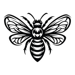 Detailed Black and White Honeybee, Front View with Open Wings, Intricate Pattern Design