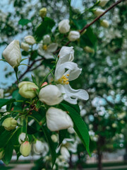  beautiful nature