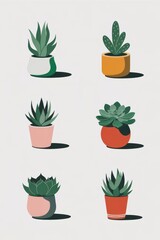 Colorful potted succulents arranged in a grid pattern.